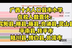 广西十大人口县市小学在校人数变化：博白北流桂平平南藤县视频封面