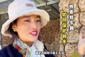 藏族朋友不怕脏，生活在西藏为何热衷用牛粪盖房？听卓玛解释原因视频封面