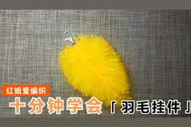 家中的剩毛线不要扔！十分钟教会你利用毛线编织一个精美羽毛挂件