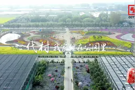今晚20:00，CCTV4，走进神奇的植物工厂——山东代村视频封面