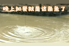 挖了几条蚯蚓，钓点鱼晚上加餐，在农村找点乐子还是很简单的视频封面