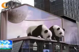 萌翻了！成都太古里裸眼3D大熊猫来了，网友：真实又可爱视频封面