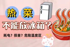 热菜放进冰箱，冰箱会坏吗？ UDSA建议的科学方法是什么？视频封面