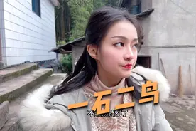 隔山打牛，一石二鸟视频封面