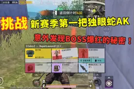 挑战只用新赛季第一把独眼蛇AK，搭配这个配件，稳定堪比妹控！视频封面