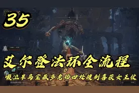 艾尔登法环，啜泣半岛宝藏多老杨四处搜刮喜获女王仗（35）视频封面