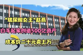 最神秘女首富赵燕：白手起家创造500亿资产，成本价二十元卖上万视频封面