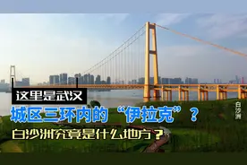 白沙洲“崛起”了吗？这个被调侃“武汉伊拉克”的片区，正在变局