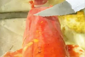 锦鲤没有鳞片还能活吗？老外亲自刮下鱼鳞，镜头记录全过程视频封面