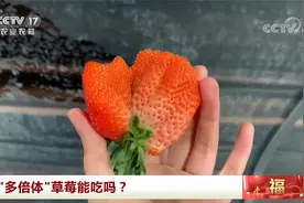 看上去奇形怪状 “多倍体”草莓能吃吗？视频封面