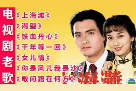 经典【电视剧歌曲】《上海滩》《渴望》《女儿情》《铁血丹心》等