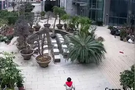 幼童径直往前冲倒栽葱摔进水池 自行爬起后家长才赶来视频封面