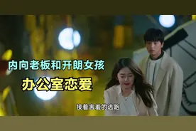 13-内向老板恋上开朗女孩 甜甜的恋爱要开始了吗？视频封面