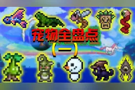 泰拉瑞亚手游：宠物有多少种 他们获取方式是什么 看完学废了视频封面