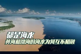 都是海水，为何黄海和渤海之间却“泾渭分明”，互不相融呢？视频封面