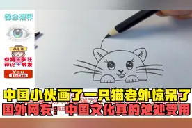 中国小伙画了一只猫老外惊呆了，国外网友：中国文化真的处处受用视频封面
