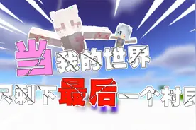 当我的世界只剩下最后一个村民