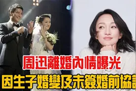 周迅高圣远离婚内情曝光，因未签婚前协议，不满男方分产要求！视频封面