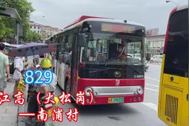 广州第二巴士，829【江高（大松岗）—南浦村】视频封面