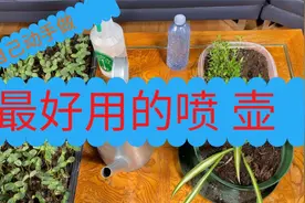 DIY自己动手做最好用喷壶 - 非常实用，比买的还要好用！