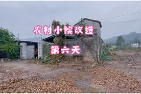 农村改造的第六天，坏掉的簸箕能怎么利用呢视频封面