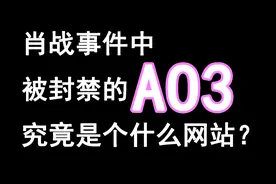 肖战事件中被封禁的AO3是个什么网站？