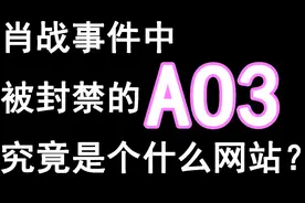 肖战事件中被封禁的AO3是个什么网站？视频封面