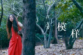 万芳《模样》MV视频封面