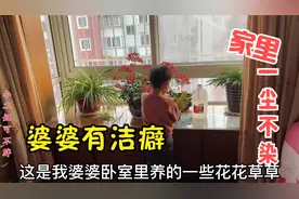 婆婆有洁癖，家里到处收拾得一尘不染，真让人受不了！