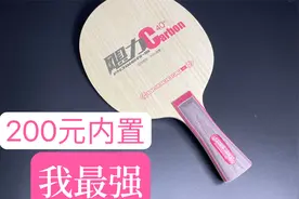 【1857乒乓】初学者闭着眼买的内置底板「红双喜飓力碳」视频封面