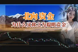 什么是北向资金？为什么又称之为聪明资金？视频封面