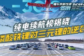 2023懂车帝新能源冬测纯电续航榜：磷酸铁锂电池一定差？视频封面