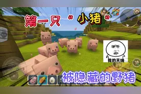 迷你世界：第一只“小猪”并不普通，它不可以被饲养，是只野山猪视频封面