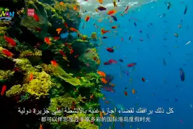 海南自贸港欢迎您 Welcome to Hainan Free Trade Port视频封面