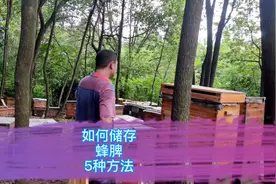 蜜蜂养殖技术，退出来的蜂脾如何进行保存，飞哥介绍五种自己选视频封面