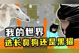 我的世界：选长鼻狗还是黑猫？长鼻狗很实用，只不过给HIM单杀了