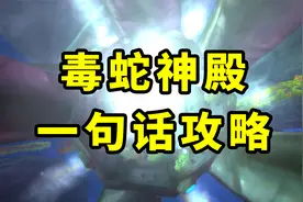 魔兽TBC怀旧服：毒蛇神殿一句话攻略，分分钟变成老玩家！DPS篇