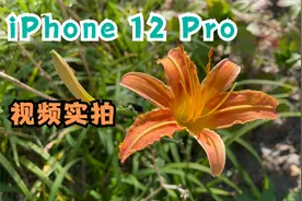 iPhone 12 Pro 视频实拍效果，看看效果如何