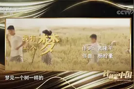 我就是中国：中国脊梁视频封面