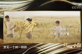我就是中国：中国脊梁视频封面