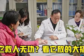 全世界最苦的药，却是“甜”病克星，当之无愧消渴NO.1视频封面