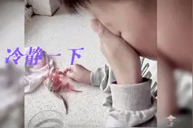 爆笑视频：手被螃蟹夹住，应该先让螃蟹冷静一下视频封面
