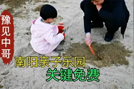 南阳亲子乐园，周末打卡地，关键免费哦！带孩子释放他们的天性吧视频封面