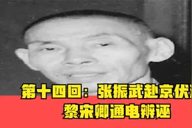 第十四回：张振武赴京伏法，黎宋卿通电辨诬视频封面