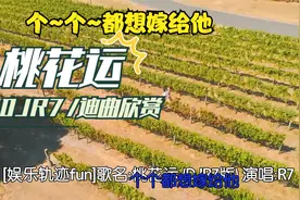 桃花运 (广西方言) - DJR7 文艺复兴DJ歌曲,高速飙到180洗脑神曲