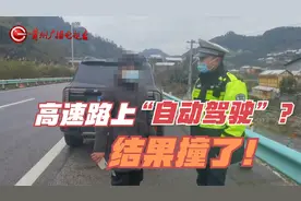 高速路上“自动驾驶”？结果撞了！视频封面