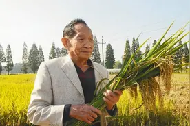 袁隆平解读：第三代杂交水稻好在哪？今年又有什么小目标？