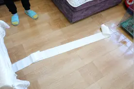 卫生纸一掉落就会散落一地，教你一招，简单好用，帮你解决烦恼视频封面