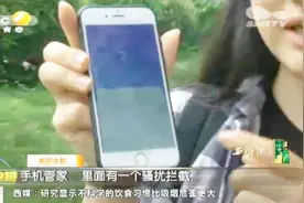 你被95开头8位数电话骚扰过吗？原来是他们打给你的，还无法屏蔽