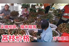 荔枝遭遇雨水天气，容易裂果和发生淤青病，这几天价格怎么样呢